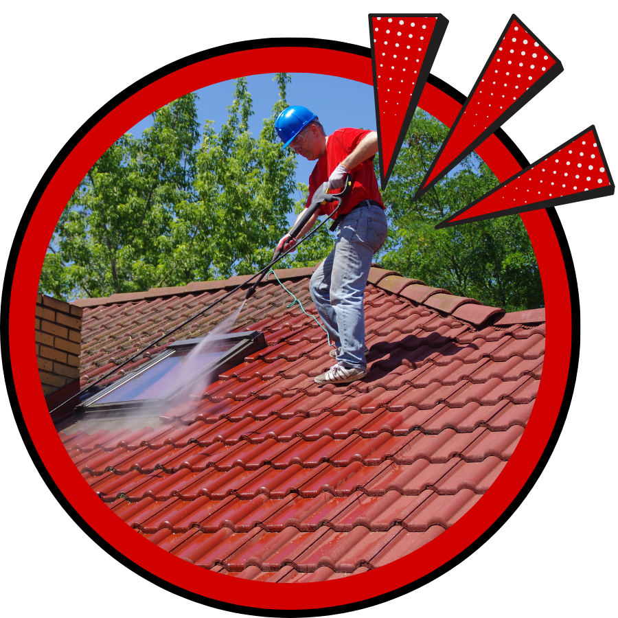 Roof Cleaning in Seven Coves TX