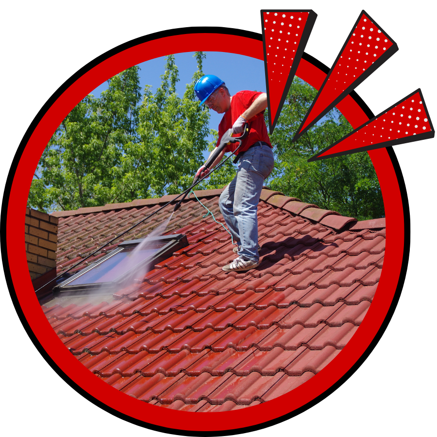 Roof Cleaning in South Houston TX